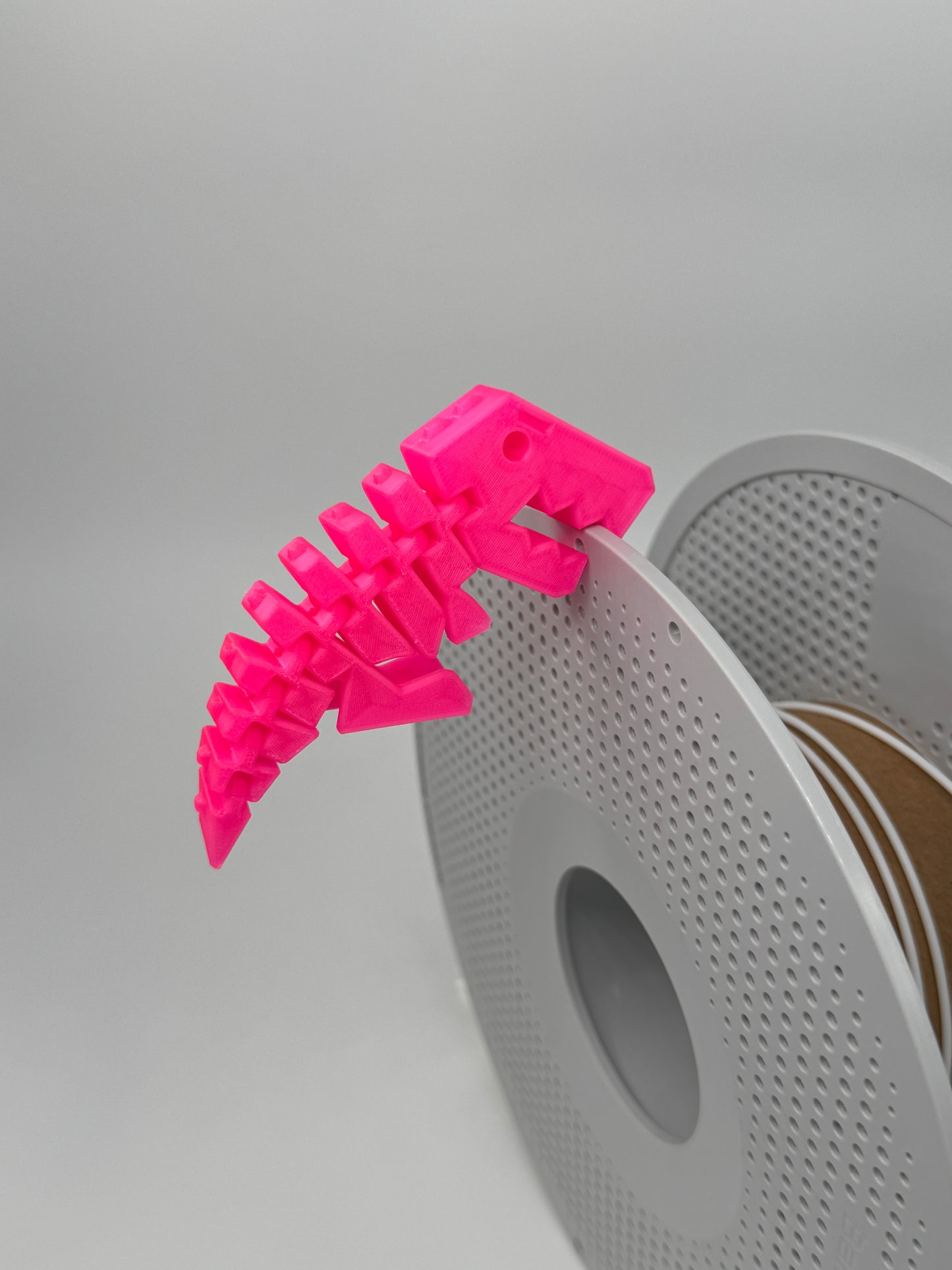 Flexi Rexi